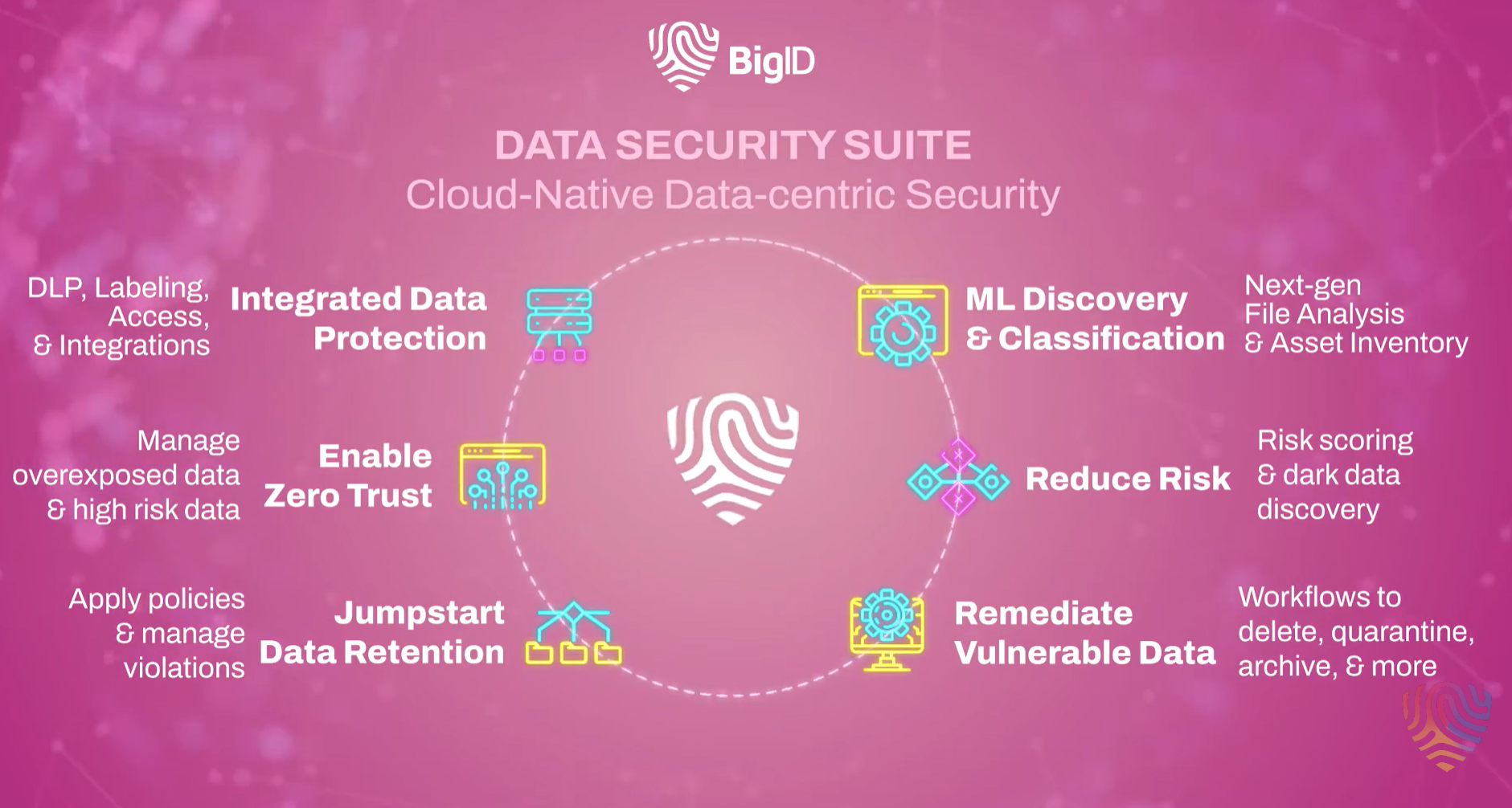 BigID Data Security Suite