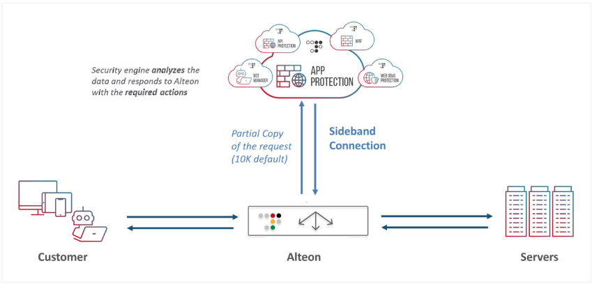 Cách thức hoạt động của Radware Alteon Protect